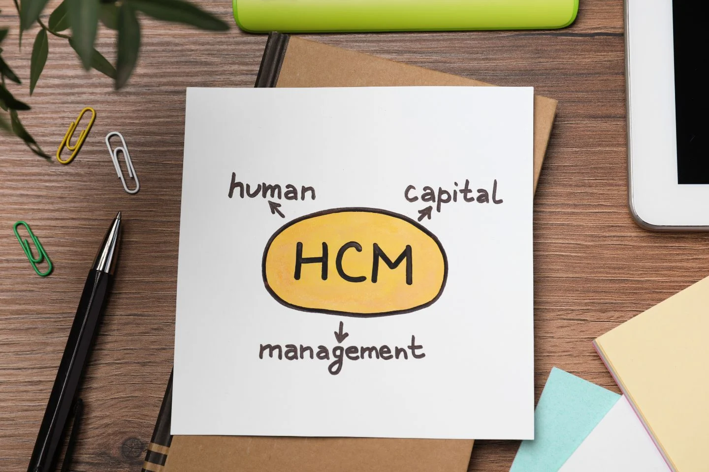 "human capital management"