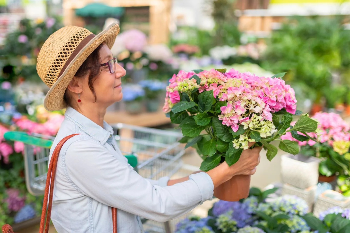 person buying a flowering plant